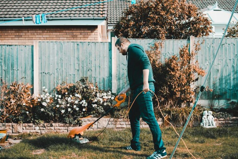 The Art of Hedge Trimming: A Balance Between Nature and Neatness